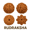 Rudraksha